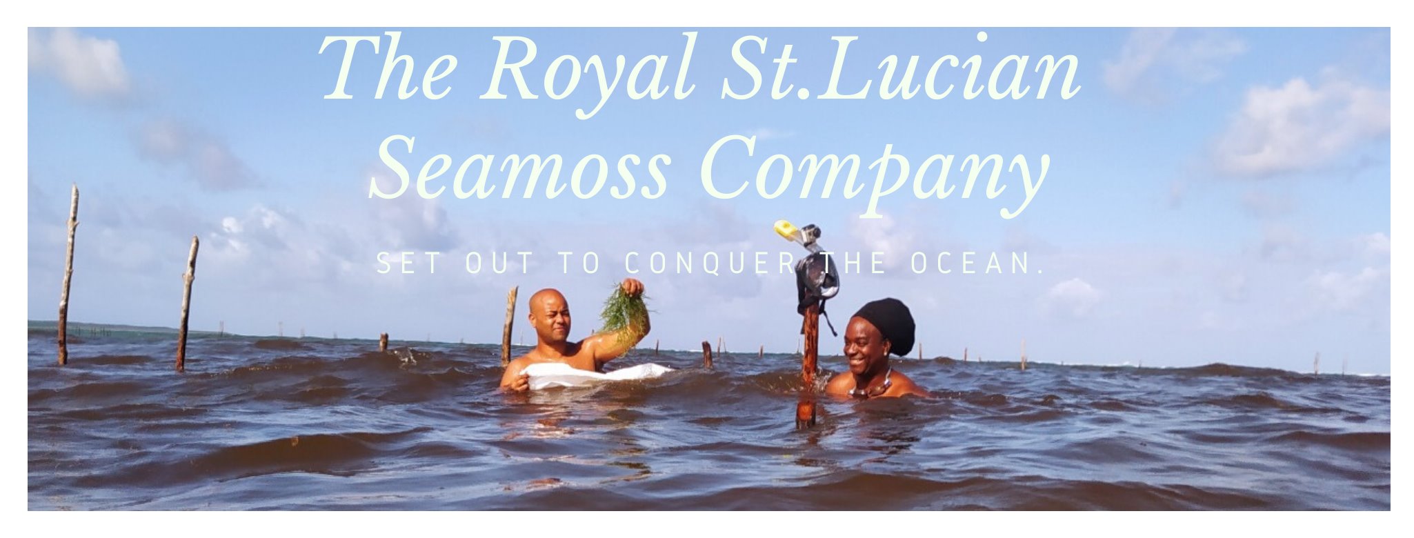 St. Lucian Seamoss Company